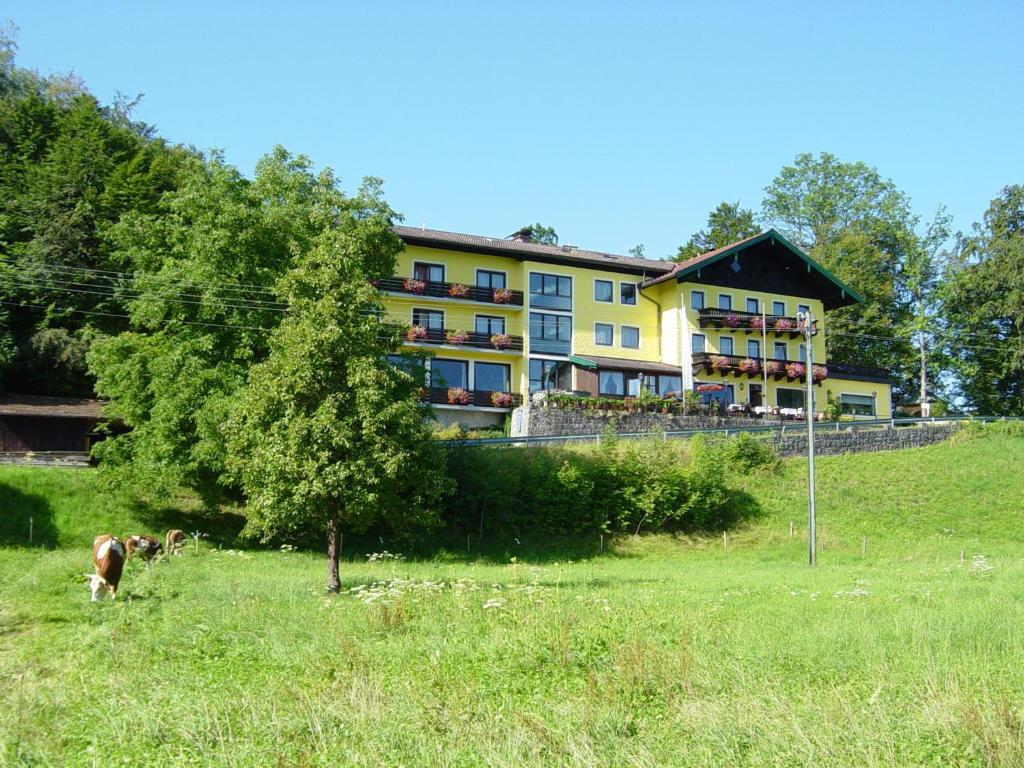 Hotel Zur Schonen Aussicht Ubersee Exterior photo